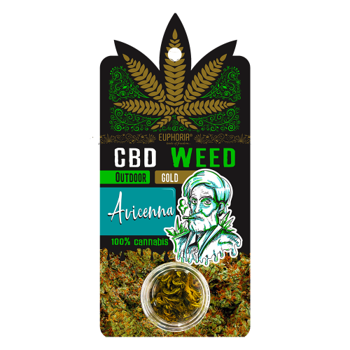 v47-621-CBD-Weed-Gold-Outdoor-Avicenna-.213439910.1650982502 Euphoria CBD Weed Avicenna - Image 1