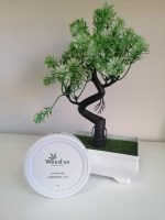 Weed'us CBD Flor Amnésia 2.0 3g - Image 4