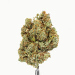 Weed'us CBD Flor Amnésia 2.0 3g - Image 3