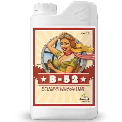 b52 B- 52® 500ml - Image 1