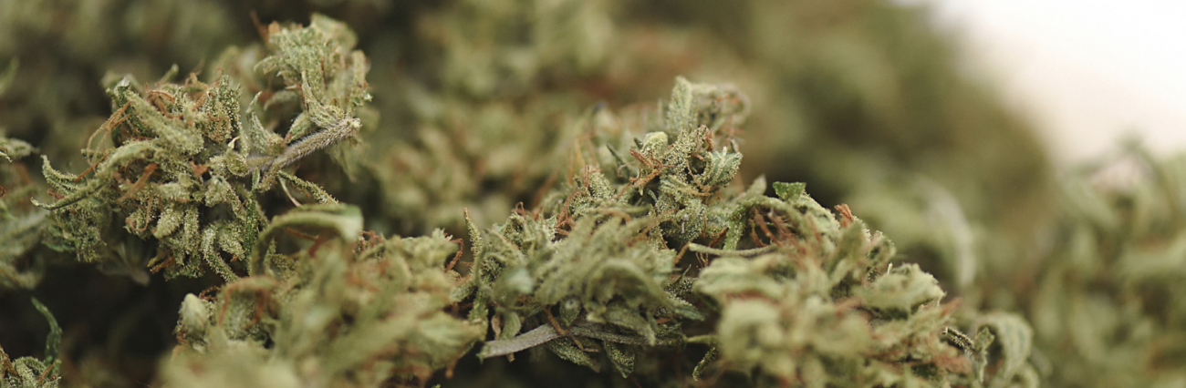 Flores CBD
