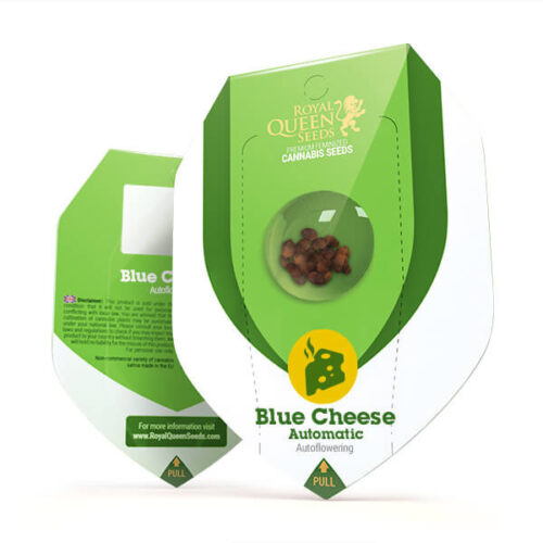 blue-cheese-automatic Sementes RQS Autoflorescentes