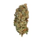 Royal Queen Seeds – Special Queen #1 - Image 5