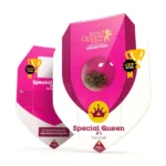 Royal Queen Seeds – Special Queen #1 - Image 2