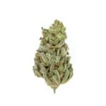 Royal Queen Seeds – Amnesia Haze - Image 4