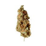 Royal Queen Seeds – Critical - Image 4