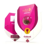 Royal Queen Seeds – Critical - Image 2