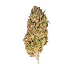 Royal Queen Seeds – El Patron - Image 4