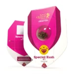 Royal Queen Seeds – Special Kush #1 - Image 2