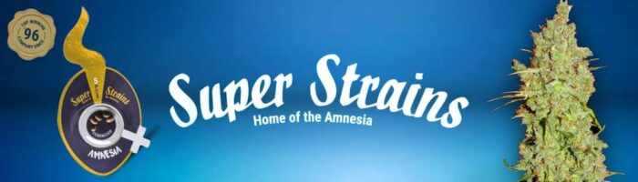 Home of Amnesia