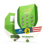Royal Queen Seeds – Fat Banana Auto - Image 2