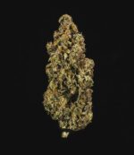 Royal Queen Seeds – Purple Queen Auto - Image 6