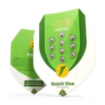 Royal Queen Seeds – Quick One - Image 2