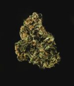Royal Queen Seeds – Royal Dwarf - Image 4