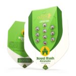 Royal Queen Seeds – Royal Kush Auto - Image 2