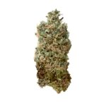 Royal Queen Seeds – Royal Skywalker - Image 6