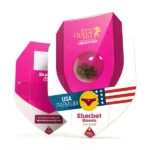 Royal Queen Seeds – Sherbet Queen - Image 2