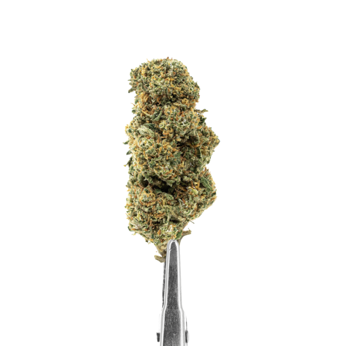Weed’us Premium Flower – Cali Grape 25% CBD - Image 1