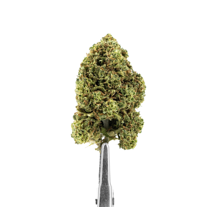 Weed'us Orange 22% CBD - Image 1