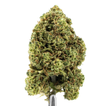 Weed'us Orange 22% CBD