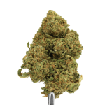 Weed’us Tutti Frutii 22% CBD