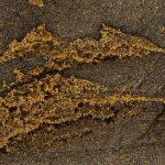 Weed'us Double Zero 18% CBD - Image 2