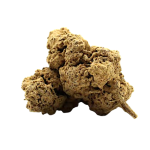 Weed’us Snow White 60% HHX