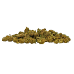 Weed'us White Widow Small Buds 18% CBD - 5g - Image 2