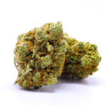 Weed’us Kraken 60% 10-OH-HHC