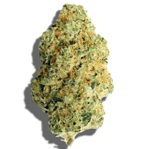 Wifi-OG-PG-FL-3.5G-P-71ABAG_01 Weed'us White Fire OG 50% THC P - Image 1