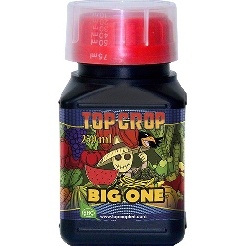 2_BIG_ONE_250ML Big One - TOP CROP - Image 1