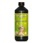 Bi-Bloombastic - ATAMI